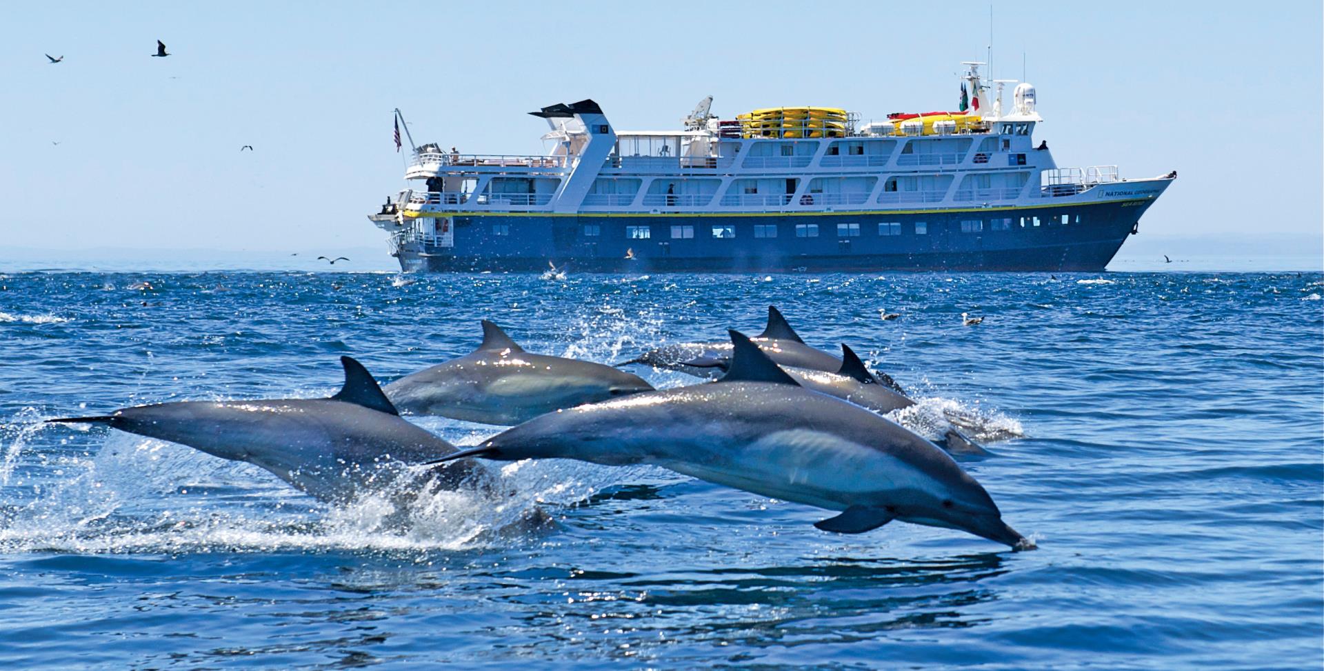 Wild Alaska Escape: Haines, the Inian Islands & Tracy Arm Fjord